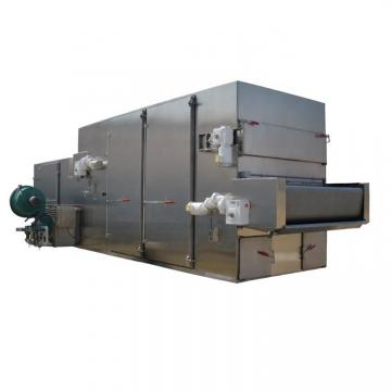 Fruit Clice Various Vegetables Drying Machine Continuous Dryer