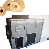 5m² Industrial Freeze Dryer for Vegetables, Fruit, Mushroom, Aloe, Herb